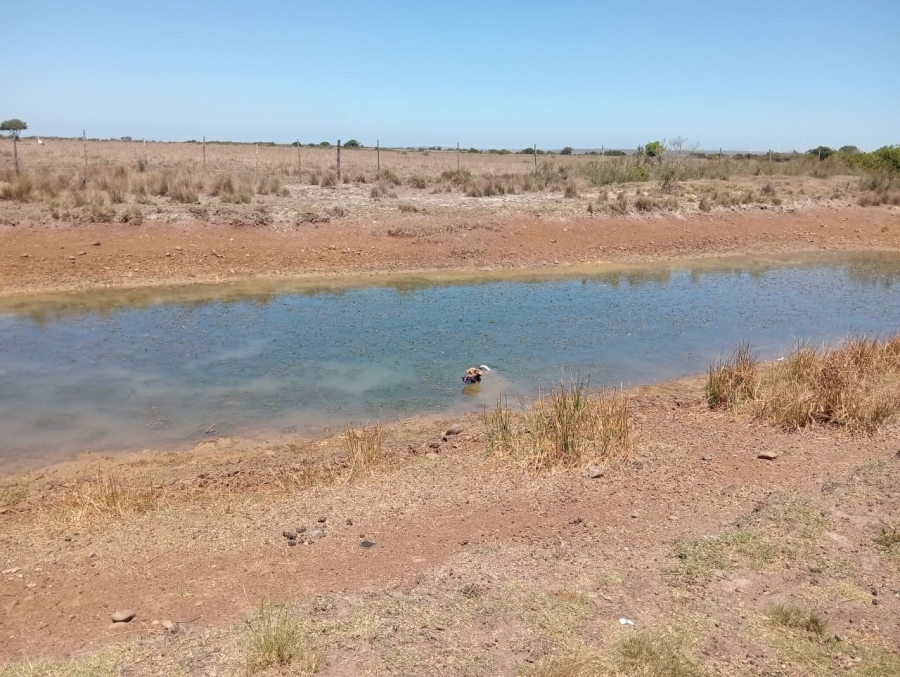 Commercial Property for Sale in Humansdorp Rural Eastern Cape